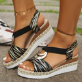 Klassisches Zebra